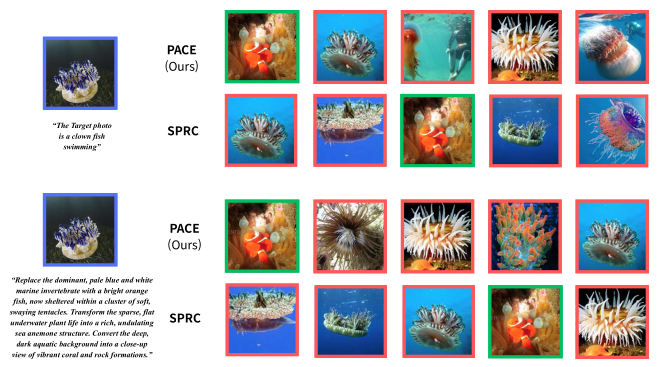 Qualitative comparison of top-5 retrieval results between PACE and SPRC